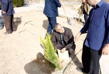 گزارش تصویری از آئیین درختکاری و تقدیر ازهمکاران فضای سبز دانشگاه